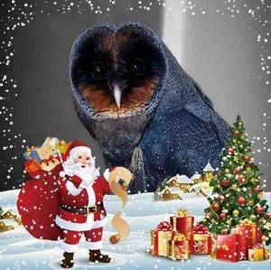 Meet your Posher, Alison